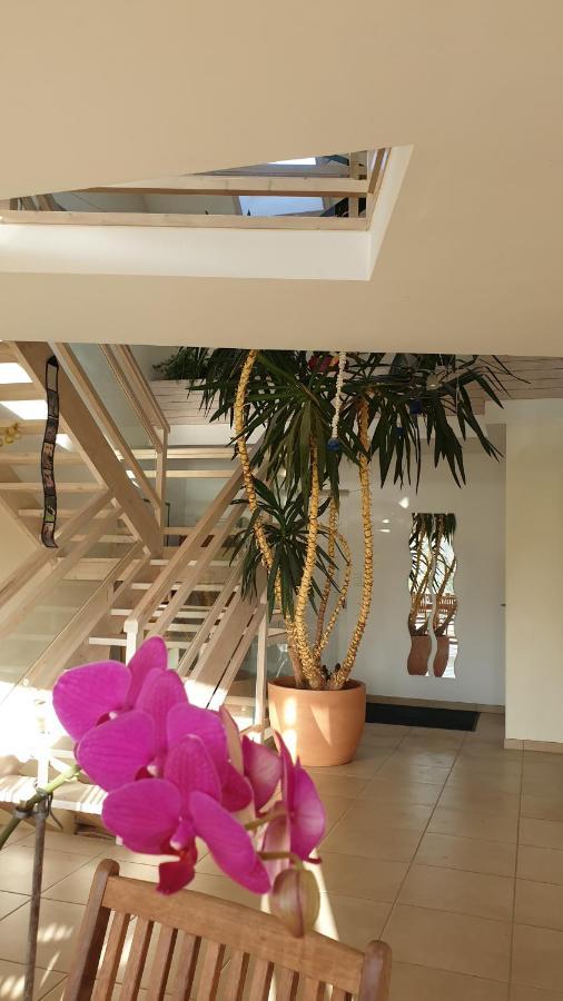 Grande Maison Avec Spa Proche De Caen Et De La Mer Brouay Εξωτερικό φωτογραφία